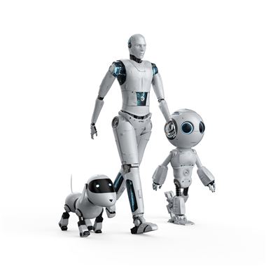 寧波舉行“打造人工智能和人形機(jī)器人產(chǎn)業(yè)創(chuàng)新發(fā)展高地”政企協(xié)商會(huì)