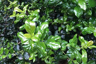 省工業(yè)和信息化廳公示第四批、第七批湖南省工業(yè)設(shè)計中心和第二批湖南省工業(yè)設(shè)計研究院復(fù)核通過名單